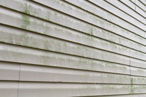 Why You Need Exterior House Washing Services