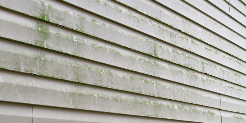 Why You Need Exterior House Washing Services
