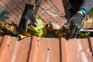 Reasons to Use Professional Gutter Cleaning Services