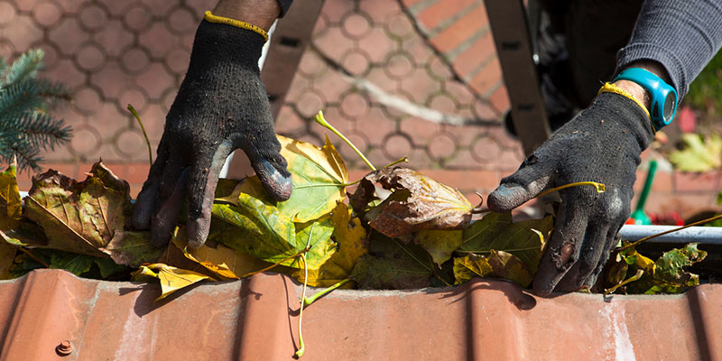 Reasons to Use Professional Gutter Cleaning Services