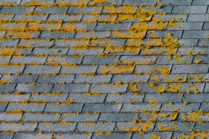 How Our Roof Softwash Services Can Benefit Your Home