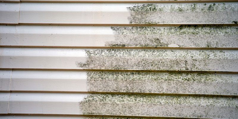 Why You Should Schedule Siding Cleaning Services