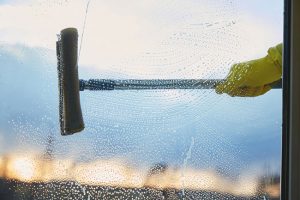 Reasons to Use Professional Window Cleaning Services